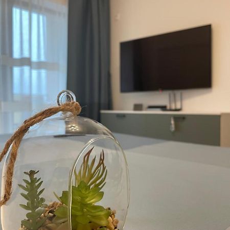 New Studio Piteşti Eksteriør bilde