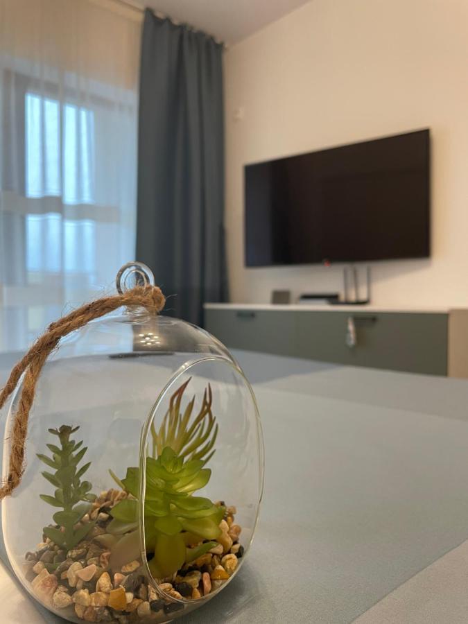 New Studio Piteşti Eksteriør bilde